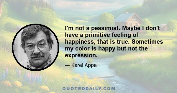 I'm not a pessimist. Maybe I don't have a primitive feeling of happiness, that is true. Sometimes my color is happy but not the expression.