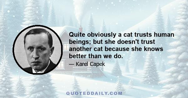 Quite obviously a cat trusts human beings; but she doesn't trust another cat because she knows better than we do.