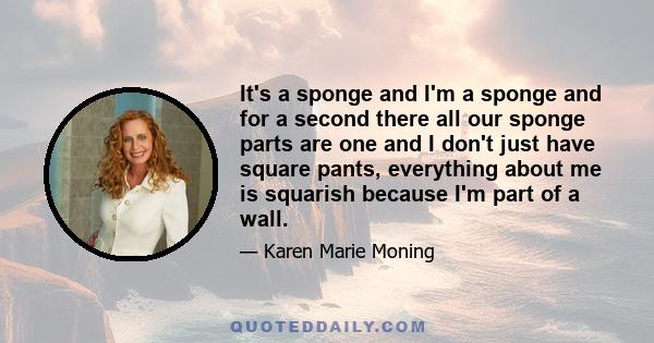 It's a sponge and I'm a sponge and for a second there all our sponge parts are one and I don't just have square pants, everything about me is squarish because I'm part of a wall.