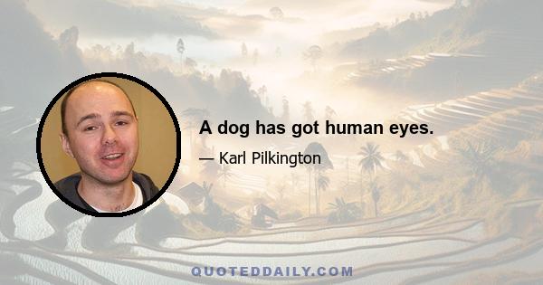 A dog has got human eyes.