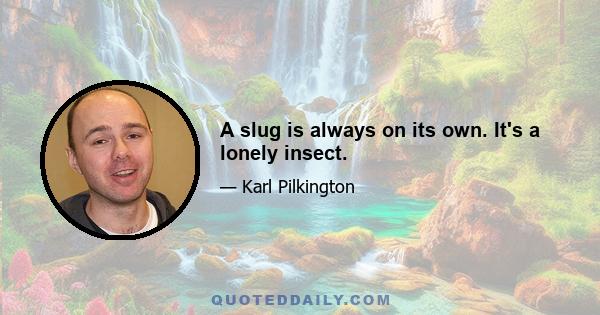 A slug is always on its own. It's a lonely insect.