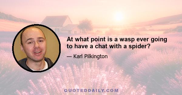 At what point is a wasp ever going to have a chat with a spider?