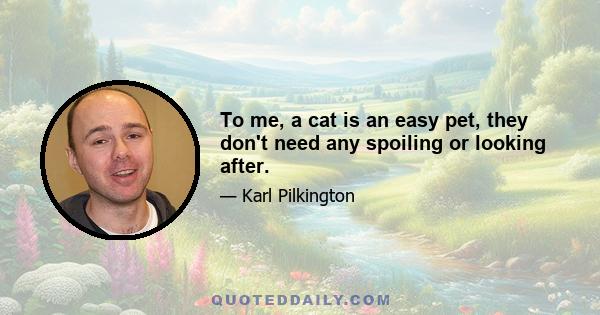 To me, a cat is an easy pet, they don't need any spoiling or looking after.