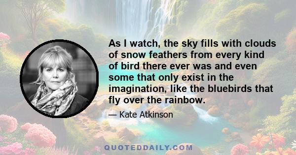 As I watch, the sky fills with clouds of snow feathers from every kind of bird there ever was and even some that only exist in the imagination, like the bluebirds that fly over the rainbow.