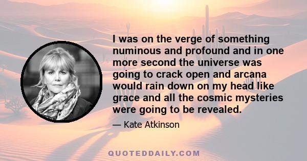 I was on the verge of something numinous and profound and in one more second the universe was going to crack open and arcana would rain down on my head like grace and all the cosmic mysteries were going to be revealed.