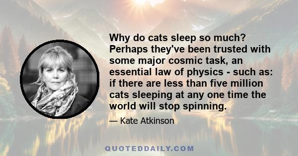 Why do cats sleep so much? Perhaps they've been trusted with some major cosmic task, an essential law of physics - such as: if there are less than five million cats sleeping at any one time the world will stop spinning.