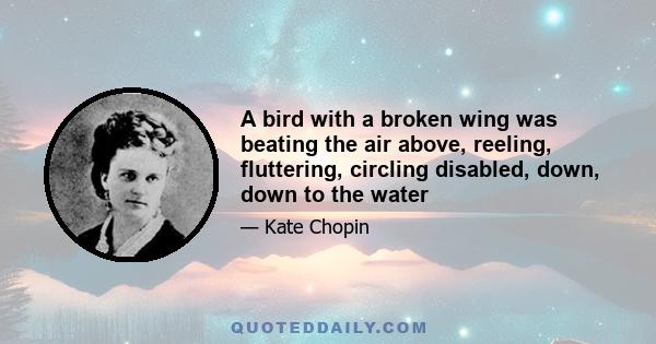 A bird with a broken wing was beating the air above, reeling, fluttering, circling disabled, down, down to the water