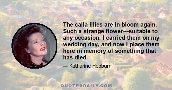 The calla lilies are in bloom again. Such a strange flower—suitable to any occasion. I carried them on my wedding day, and now I place them here in memory of something that has died.