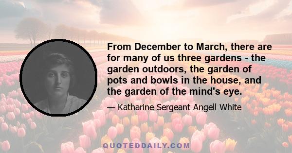 From December to March, there are for many of us three gardens - the garden outdoors, the garden of pots and bowls in the house, and the garden of the mind's eye.