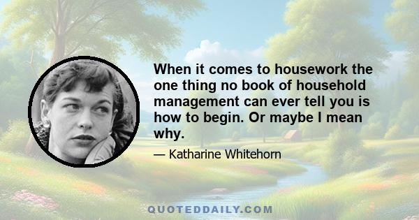 When it comes to housework the one thing no book of household management can ever tell you is how to begin. Or maybe I mean why.