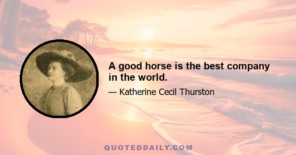 A good horse is the best company in the world.