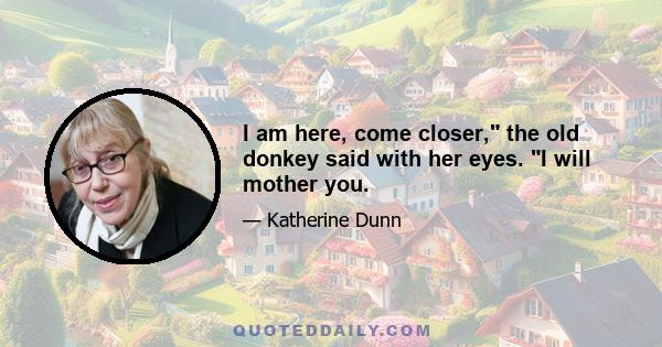 I am here, come closer, the old donkey said with her eyes. I will mother you.