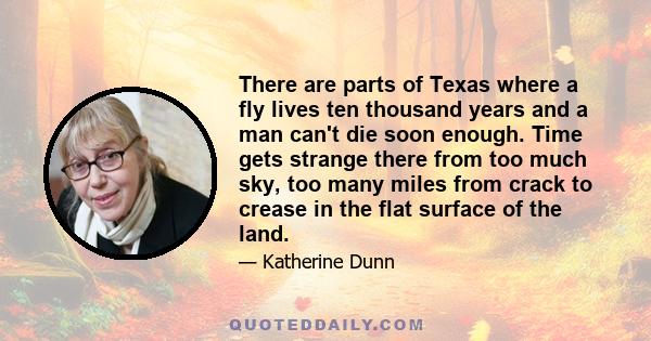 There are parts of Texas where a fly lives ten thousand years and a man can't die soon enough. Time gets strange there from too much sky, too many miles from crack to crease in the flat surface of the land.