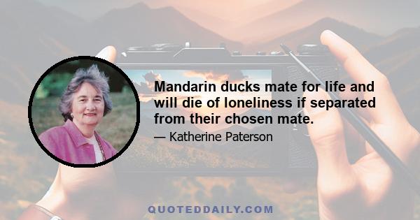 Mandarin ducks mate for life and will die of loneliness if separated from their chosen mate.