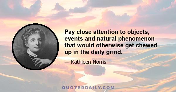 Pay close attention to objects, events and natural phenomenon that would otherwise get chewed up in the daily grind.