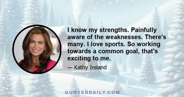 I know my strengths. Painfully aware of the weaknesses. There's many. I love sports. So working towards a common goal, that's exciting to me.