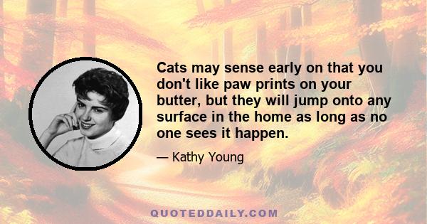 Cats may sense early on that you don't like paw prints on your butter, but they will jump onto any surface in the home as long as no one sees it happen.