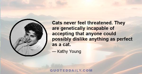 Cats never feel threatened. They are genetically incapable of accepting that anyone could possibly dislike anything as perfect as a cat.