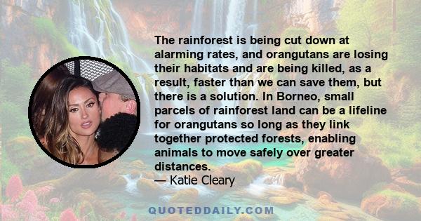 The rainforest is being cut down at alarming rates, and orangutans are losing their habitats and are being killed, as a result, faster than we can save them, but there is a solution. In Borneo, small parcels of