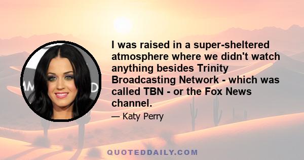 I was raised in a super-sheltered atmosphere where we didn't watch anything besides Trinity Broadcasting Network - which was called TBN - or the Fox News channel.