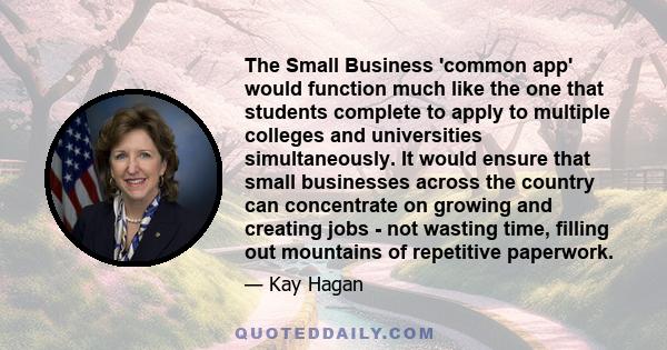 The Small Business 'common app' would function much like the one that students complete to apply to multiple colleges and universities simultaneously. It would ensure that small businesses across the country can