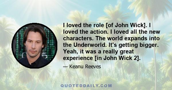 I loved the role [of John Wick]. I loved the action. I loved all the new characters. The world expands into the Underworld. It's getting bigger. Yeah, it was a really great experience [in John Wick 2].