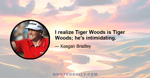 I realize Tiger Woods is Tiger Woods; he's intimidating.