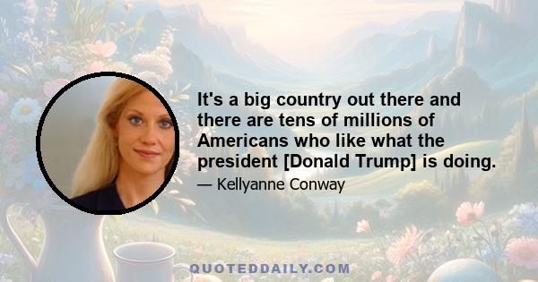 It's a big country out there and there are tens of millions of Americans who like what the president [Donald Trump] is doing.