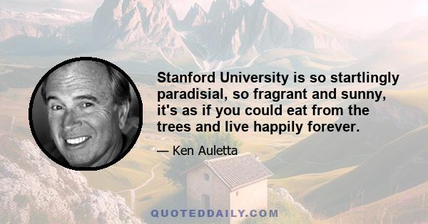 Stanford University is so startlingly paradisial, so fragrant and sunny, it's as if you could eat from the trees and live happily forever.