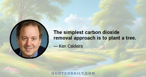 The simplest carbon dioxide removal approach is to plant a tree.