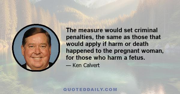 The measure would set criminal penalties, the same as those that would apply if harm or death happened to the pregnant woman, for those who harm a fetus.