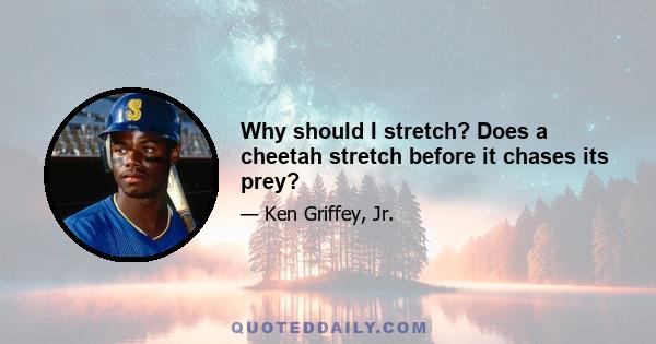 Why should I stretch? Does a cheetah stretch before it chases its prey?