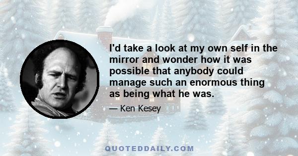 I'd take a look at my own self in the mirror and wonder how it was possible that anybody could manage such an enormous thing as being what he was.