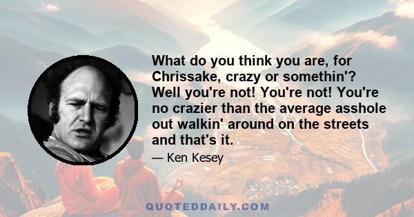 What do you think you are, for Chrissake, crazy or somethin'? Well you're not! You're not! You're no crazier than the average asshole out walkin' around on the streets and that's it.