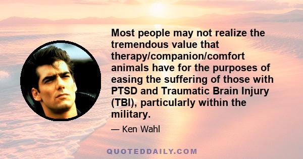 Most people may not realize the tremendous value that therapy/companion/comfort animals have for the purposes of easing the suffering of those with PTSD and Traumatic Brain Injury (TBI), particularly within the military.