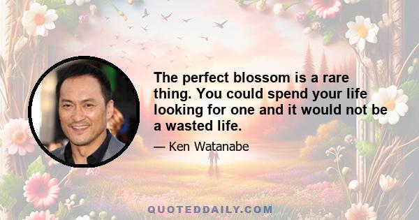 The perfect blossom is a rare thing. You could spend your life looking for one and it would not be a wasted life.