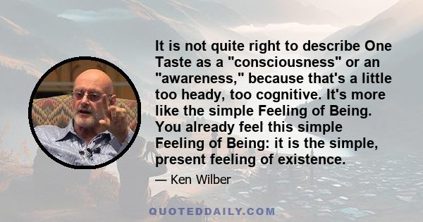 It is not quite right to describe One Taste as a consciousness or an awareness, because that's a little too heady, too cognitive. It's more like the simple Feeling of Being. You already feel this simple Feeling of