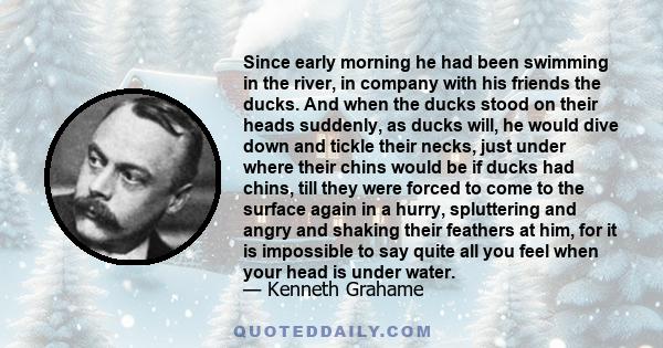 Since early morning he had been swimming in the river, in company with his friends the ducks. And when the ducks stood on their heads suddenly, as ducks will, he would dive down and tickle their necks, just under where