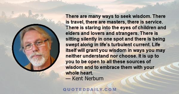 There are many ways to seek wisdom. There is travel, there are masters, there is service. There is staring into the eyes of children and elders and lovers and strangers. There is sitting silently in one spot and there