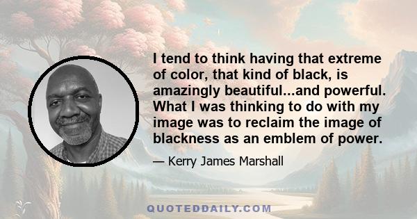 I tend to think having that extreme of color, that kind of black, is amazingly beautiful...and powerful. What I was thinking to do with my image was to reclaim the image of blackness as an emblem of power.