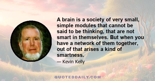 A brain is a society of very small, simple modules that cannot be said to be thinking, that are not smart in themselves. But when you have a network of them together, out of that arises a kind of smartness.