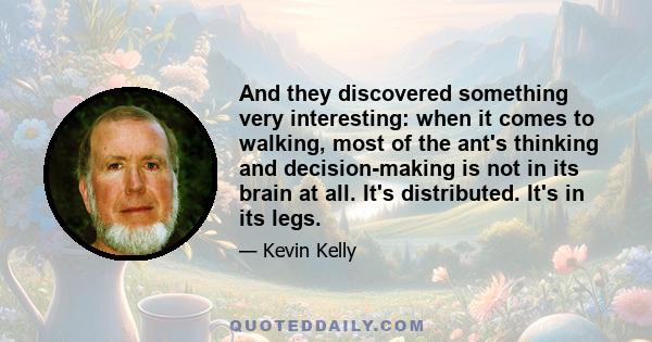 And they discovered something very interesting: when it comes to walking, most of the ant's thinking and decision-making is not in its brain at all. It's distributed. It's in its legs.