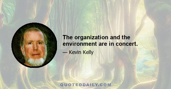 The organization and the environment are in concert.