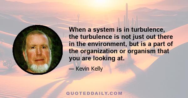 When a system is in turbulence, the turbulence is not just out there in the environment, but is a part of the organization or organism that you are looking at.