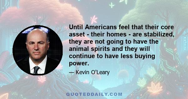 Until Americans feel that their core asset - their homes - are stabilized, they are not going to have the animal spirits and they will continue to have less buying power.