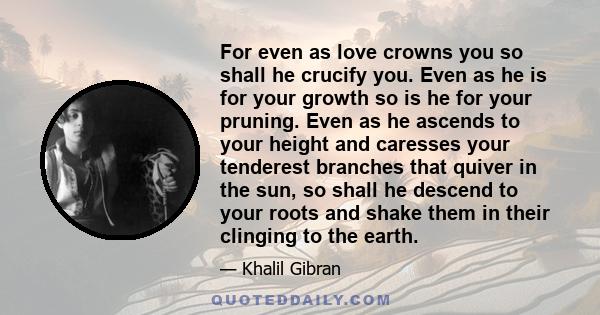 For even as love crowns you so shall he crucify you. Even as he is for your growth so is he for your pruning. Even as he ascends to your height and caresses your tenderest branches that quiver in the sun, so shall he