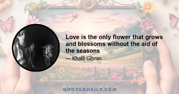 Love is the only flower that grows and blossoms without the aid of the seasons