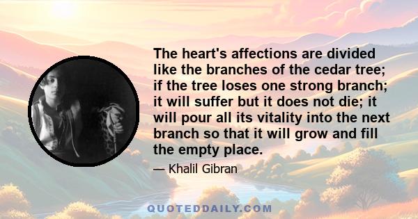 The heart's affections are divided like the branches of the cedar tree; if the tree loses one strong branch; it will suffer but it does not die; it will pour all its vitality into the next branch so that it will grow