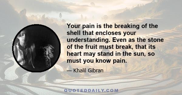 Your pain is the breaking of the shell that encloses your understanding. Even as the stone of the fruit must break, that its heart may stand in the sun, so must you know pain.