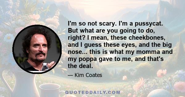 I'm so not scary. I'm a pussycat. But what are you going to do, right? I mean, these cheekbones, and I guess these eyes, and the big nose... this is what my momma and my poppa gave to me, and that's the deal.